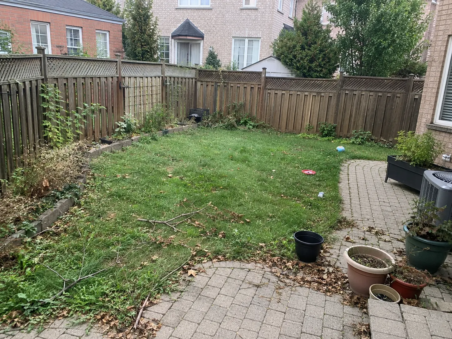 Backyard with overgrown fence line, yard debris and leaf-covered patio before cleanup