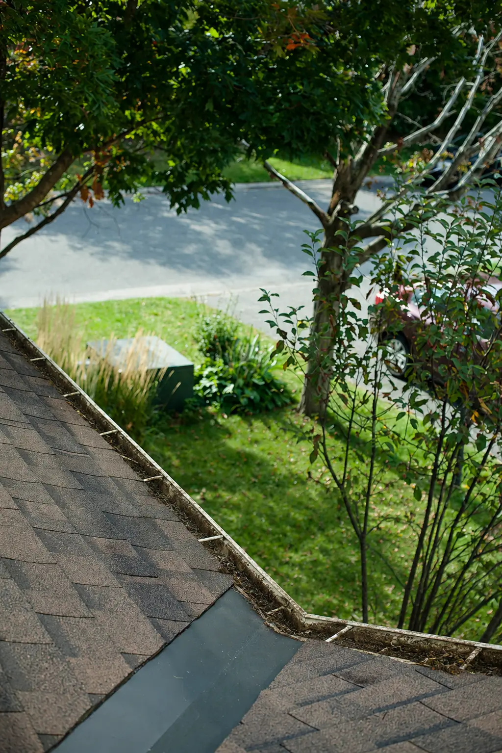 Eavestrough before debris cleaning