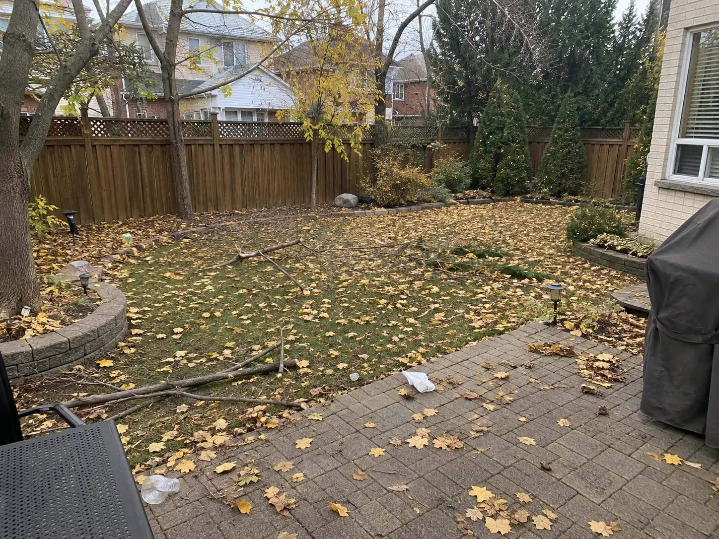 Backyard covered in fallen leaves and branches before seasonal property cleanup
